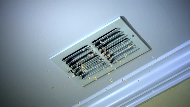 Best Affordable Duct Cleaning Services  in Bacliff, TX